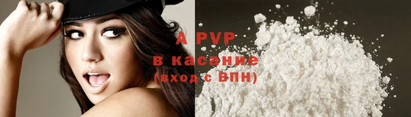 прущие крисы Беломорск