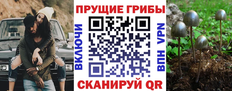 Псилоцибиновые грибы GOLDEN TEACHER Ковдор