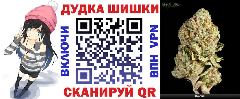 как найти закладки  Ковдор  Бошки марихуана сатива 